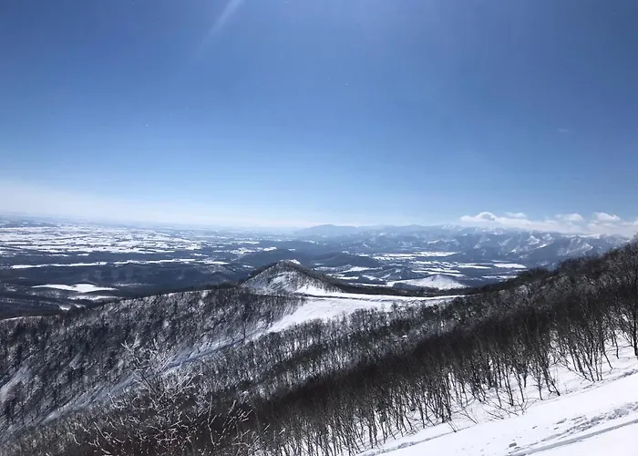 Furano View House